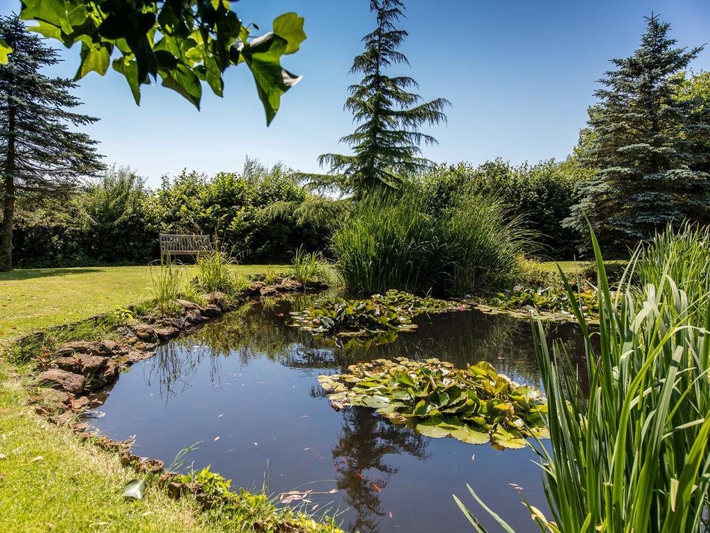 The Graig Bed & Breakfast Ludlow Farden Экстерьер фото