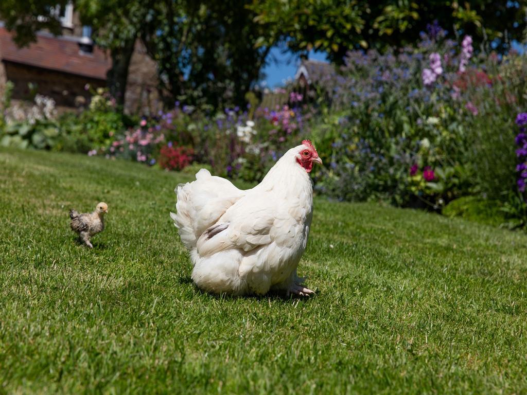 The Graig Bed & Breakfast Ludlow Farden Экстерьер фото