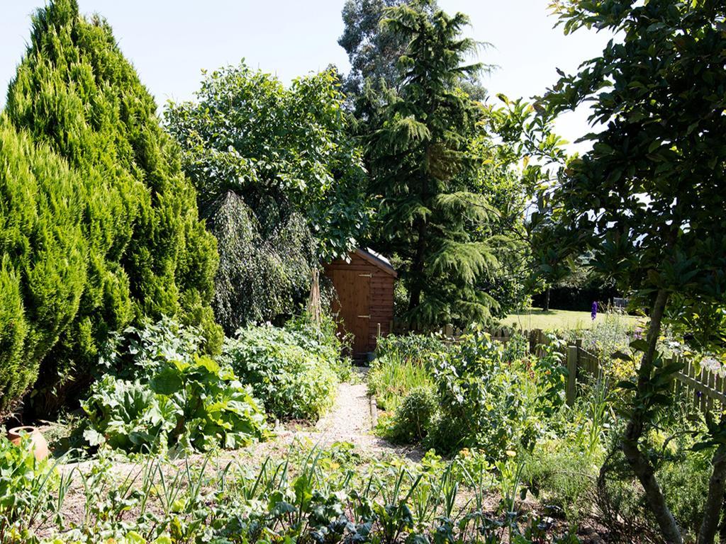 The Graig Bed & Breakfast Ludlow Farden Экстерьер фото